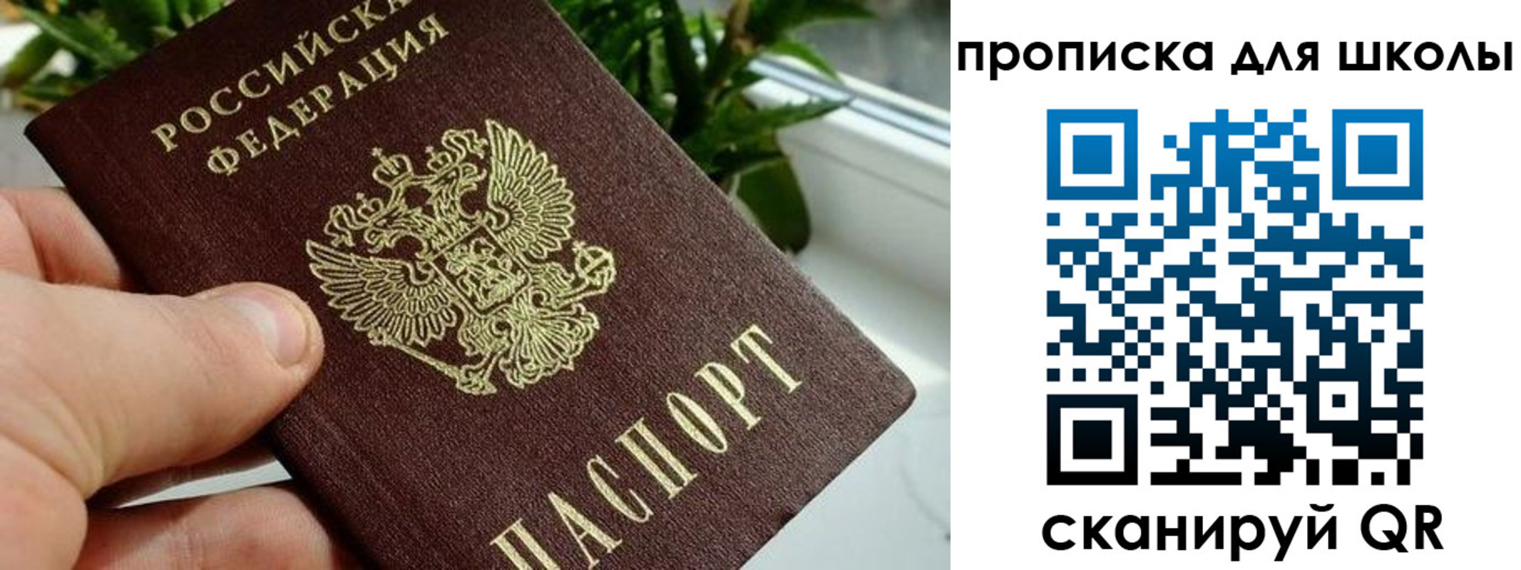регистрация для дет. сада в Луховицах